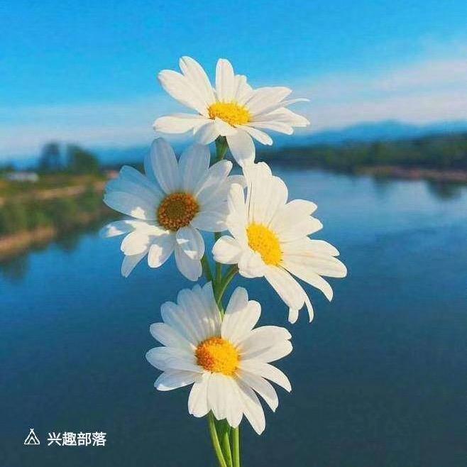 从零开始