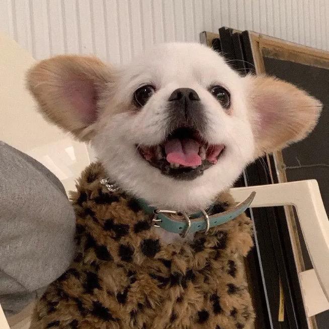 超爱喝水（买🐶丝我）