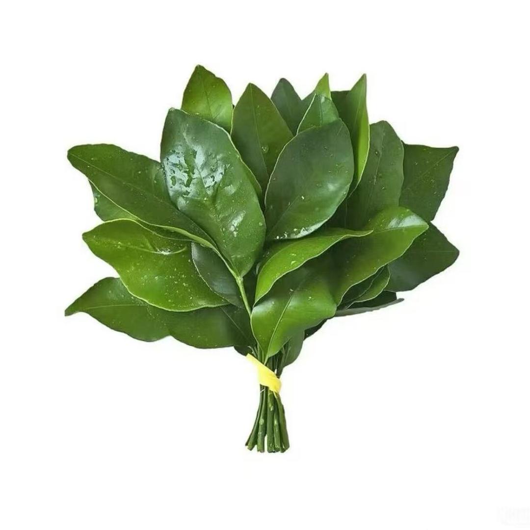张美慧
