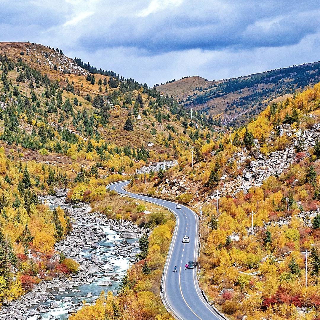 追求真相的尼Sir