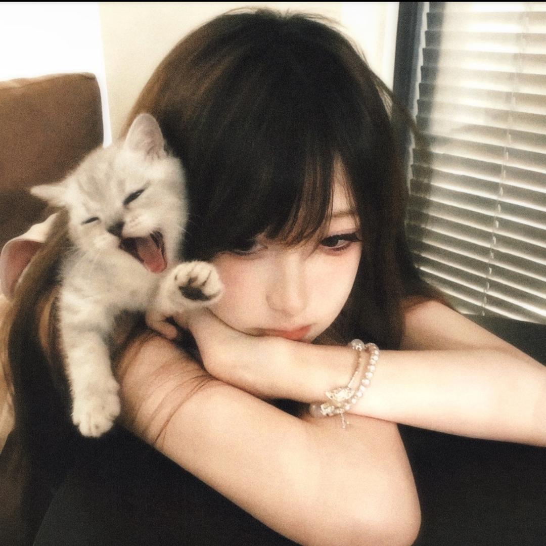 小陈i