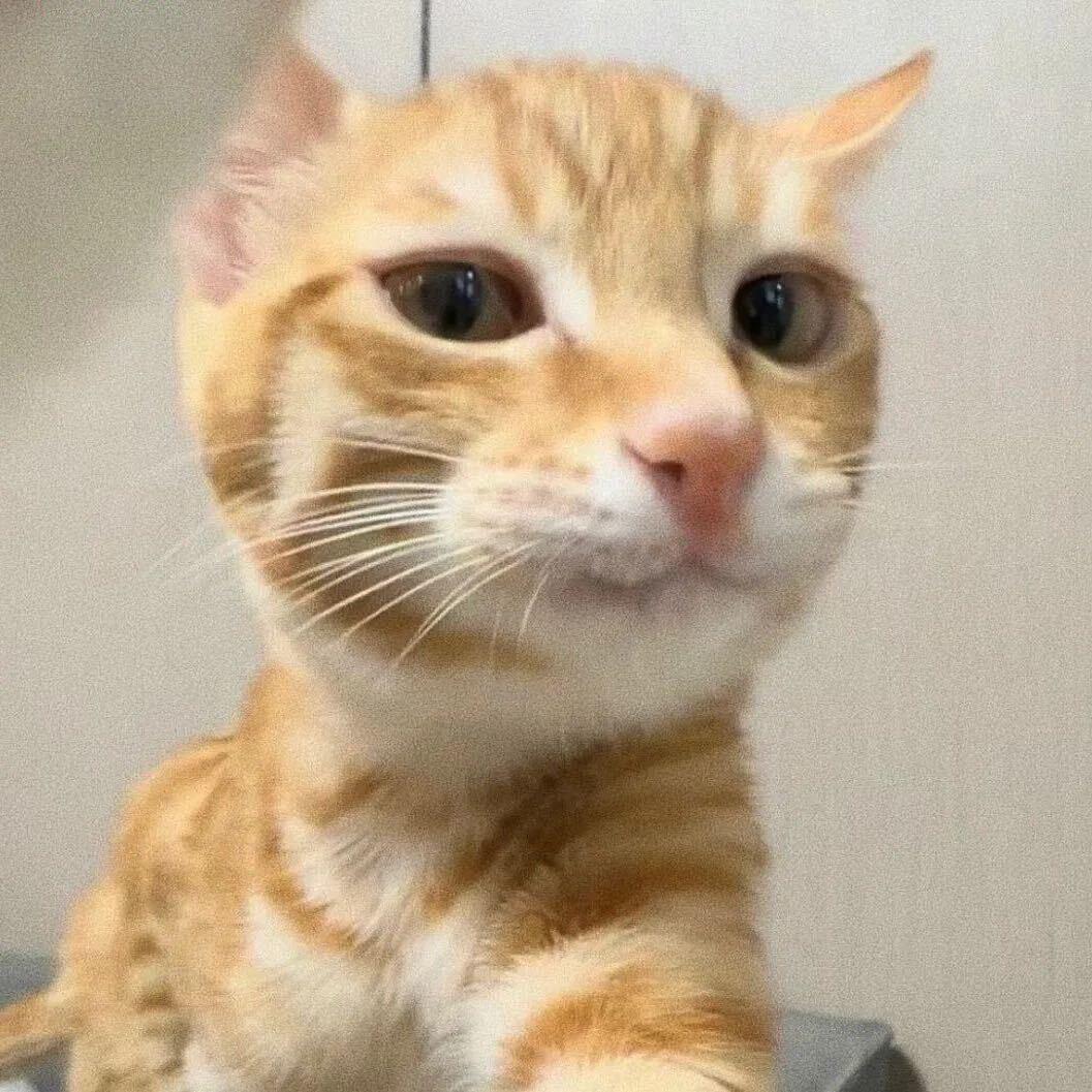 萝卜叶