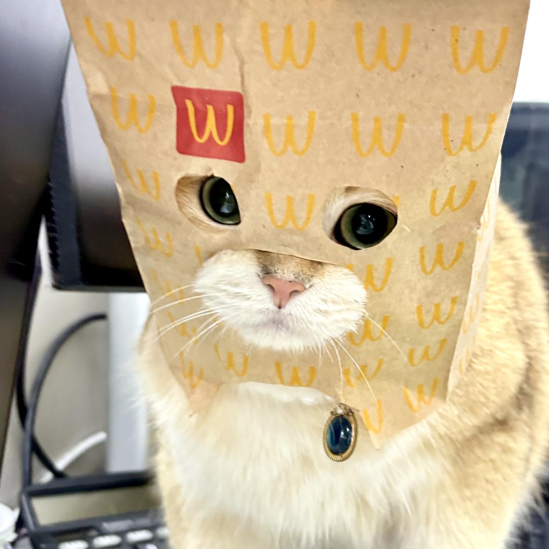 这不胡闹吗