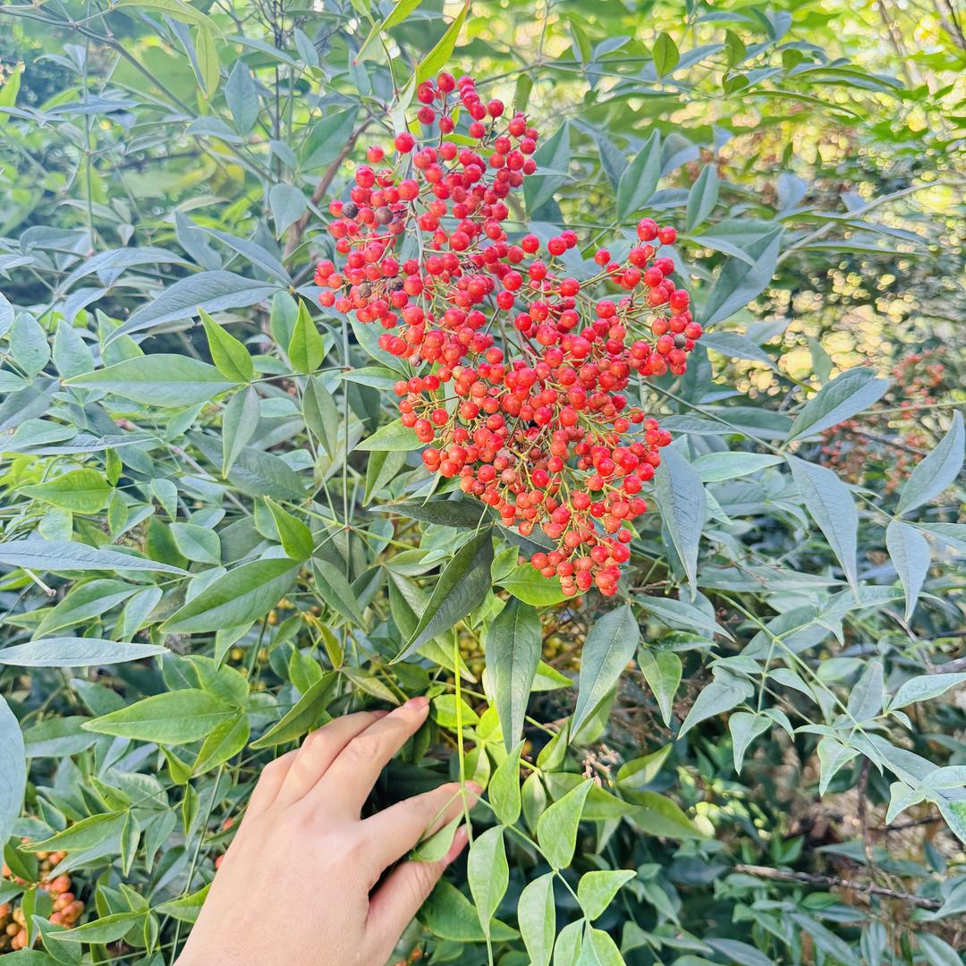 ʜᴀᴘᴘʏ̆̈𖠚ᐝ