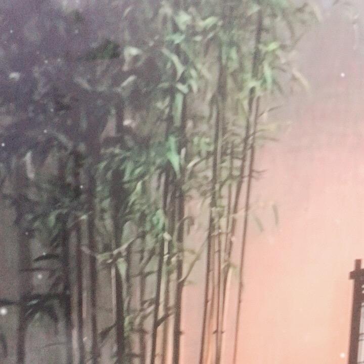 一路繁花盛开