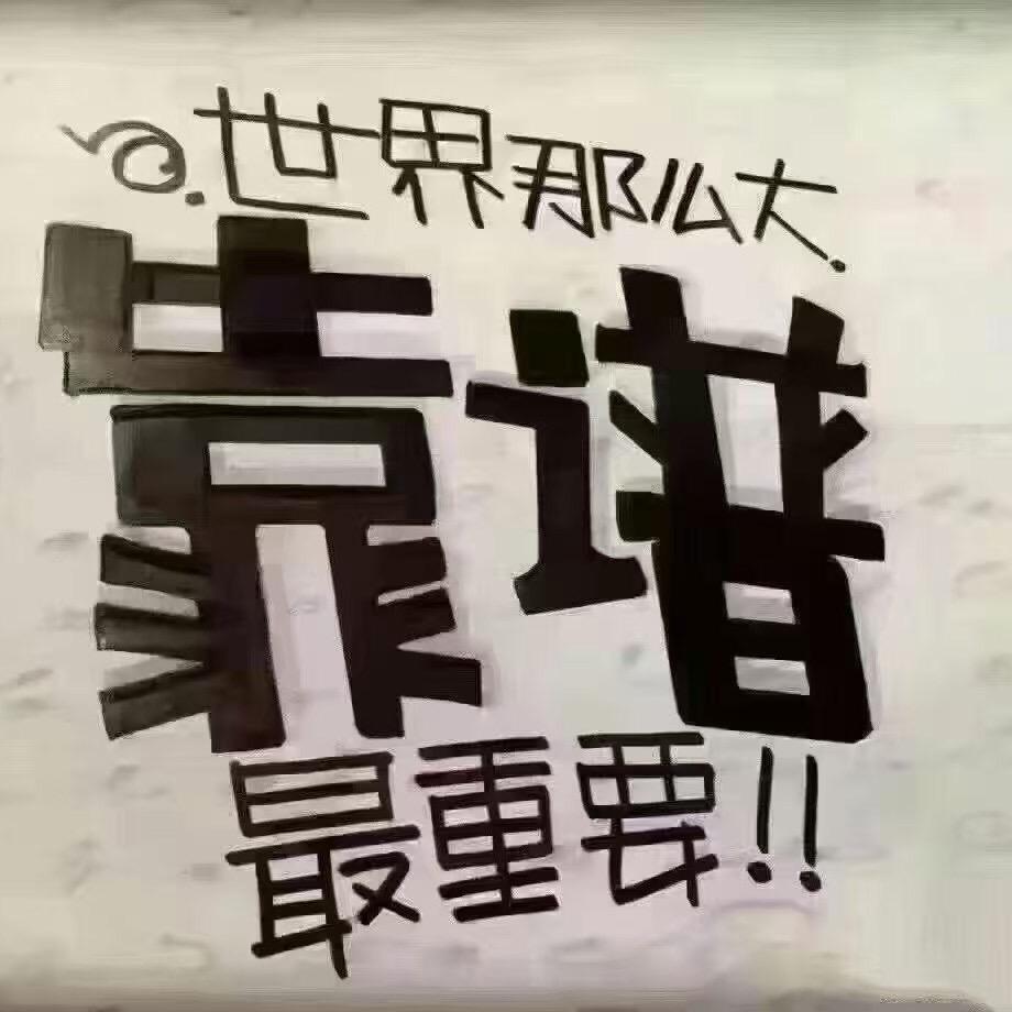 自由翱翔