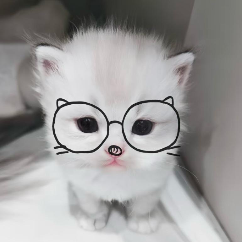 都滚蛋