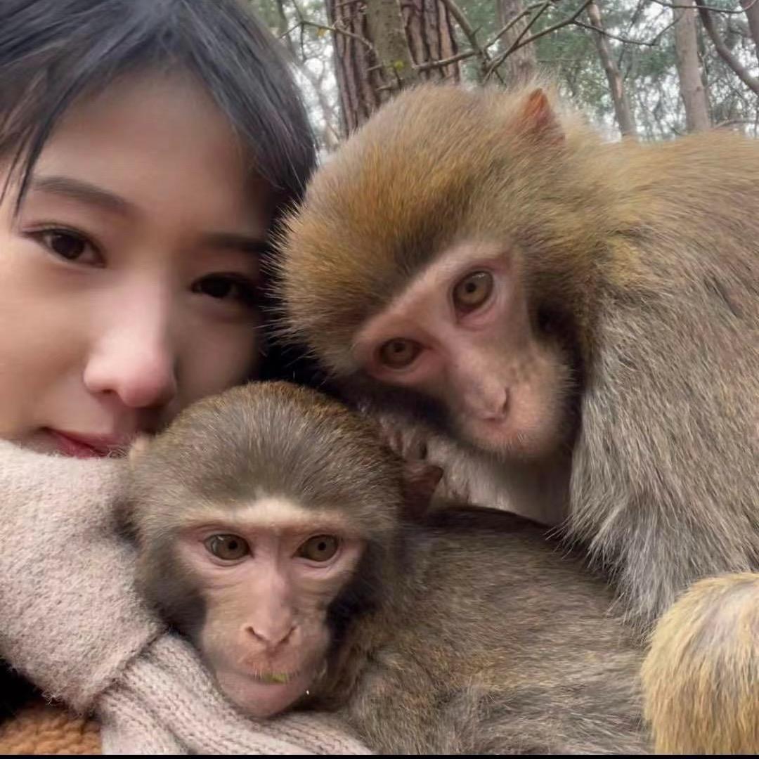 猴小婷