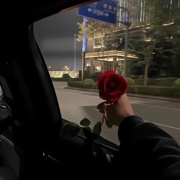晚风失了意.