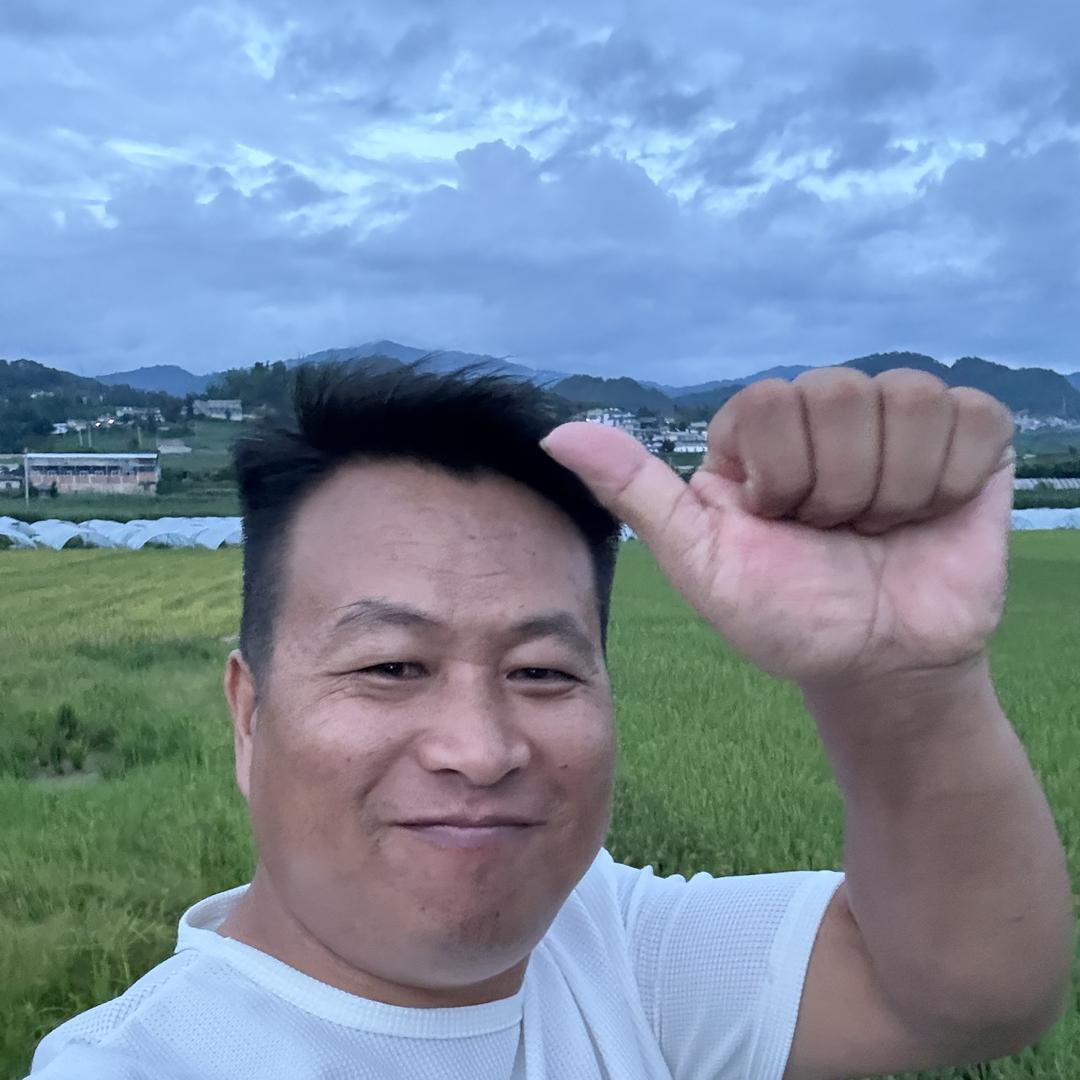 冰岛、鉦鑫号茶业