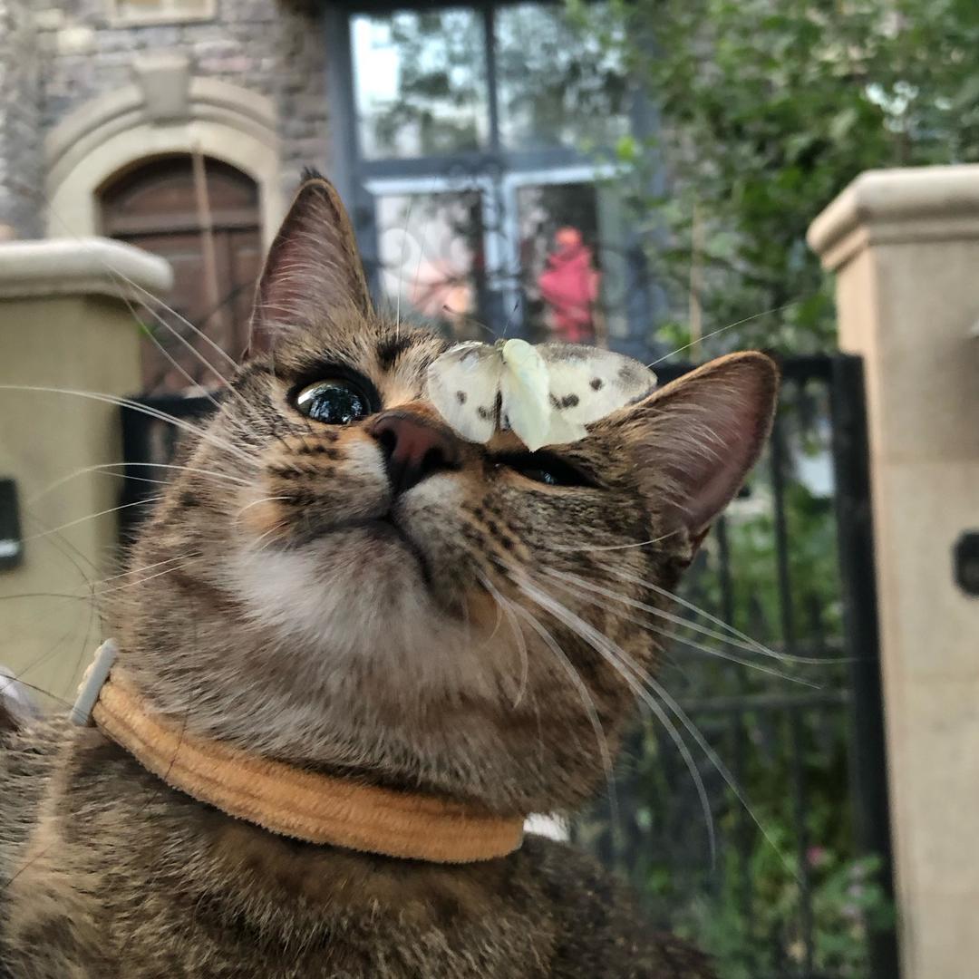 爪爪的星星💗沈星回🌟