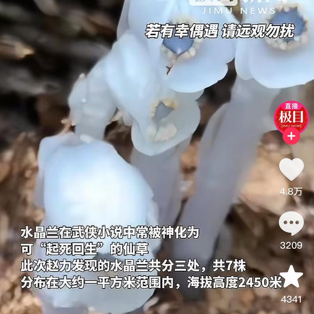 (๑˙❥˙๑)ᕙ(⇀‸↼‵‵)ᕗ