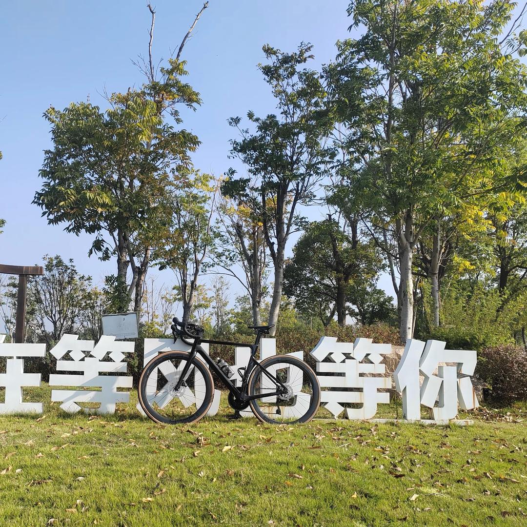 何止是爱