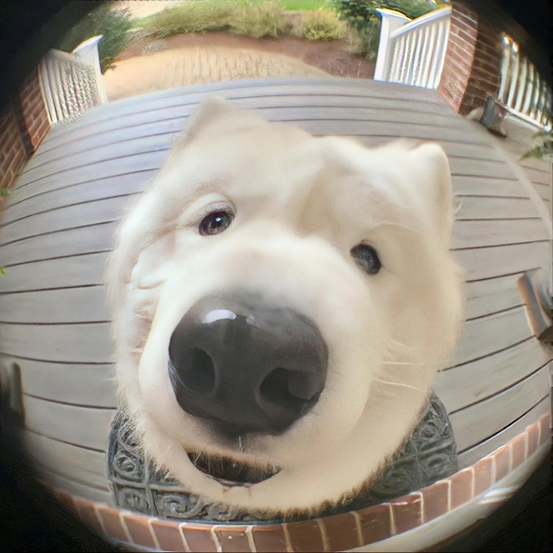 机枪手弗拉基米尔尼古拉斯吉米Jimmy