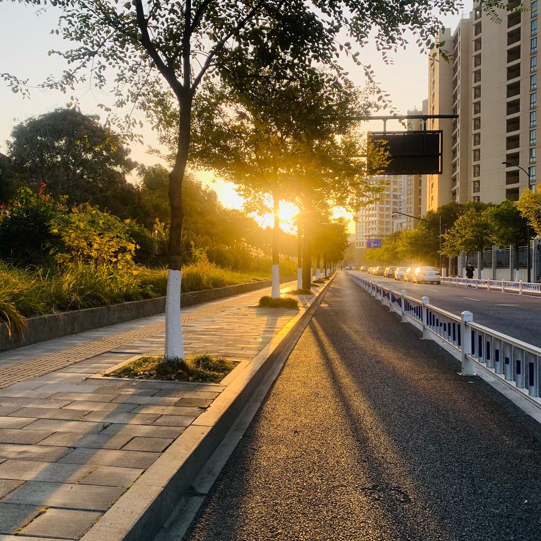 努力生活的轩仔