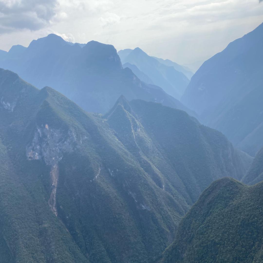 情到深处总是伤