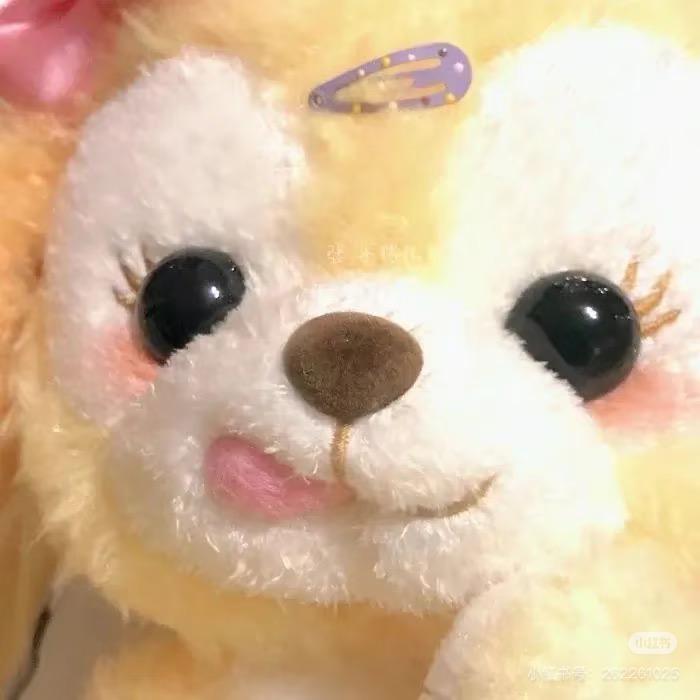 fifi₍˄·͈༝·͈˄*₎◞ ̑̑