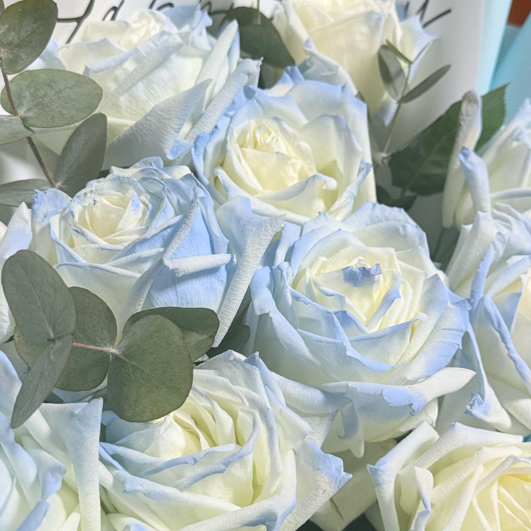 锅包桃桃酱🥝🌑