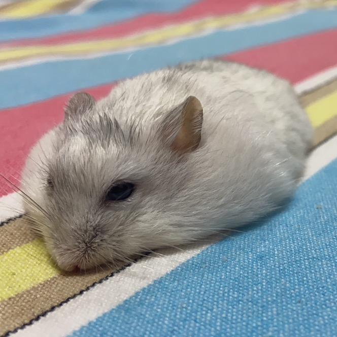 莫使金樽空对月