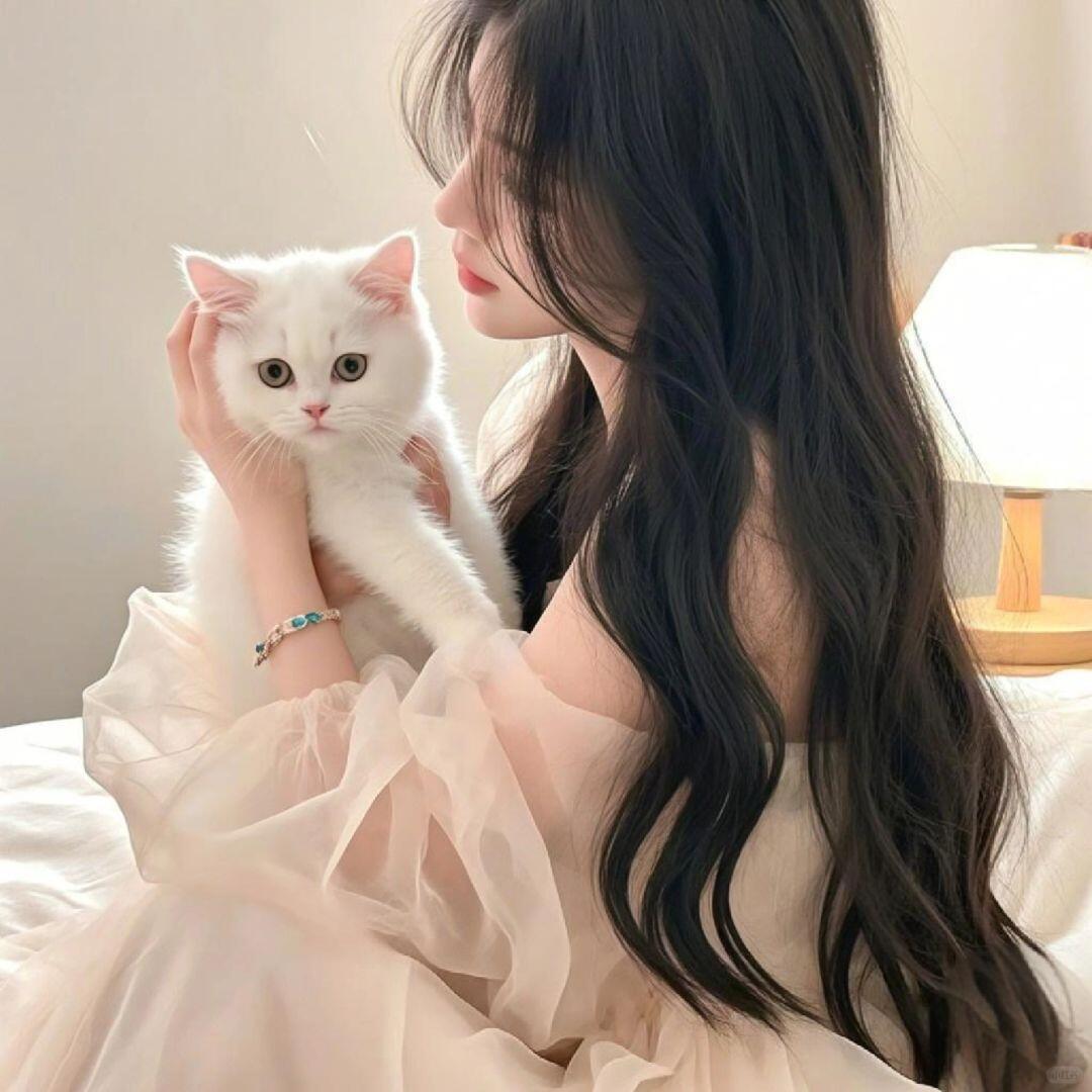 猫猫的小铃铛