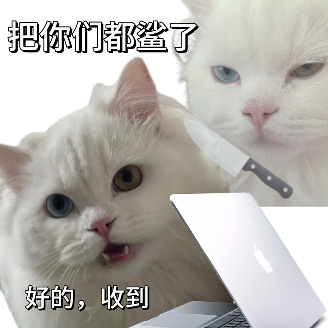 看到记得叫我碎觉