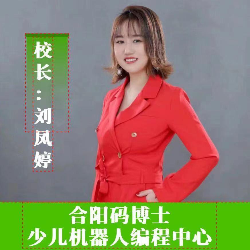合阳少儿机编程刘校长
