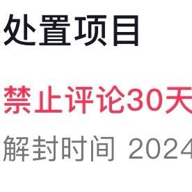 被禁评论的小跟班