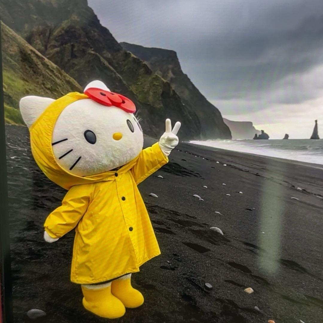 重生的kitty