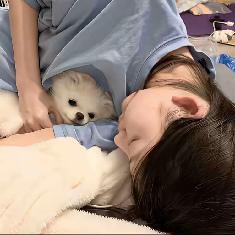 拾戚