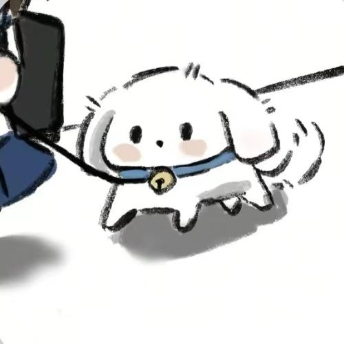 c q s j j