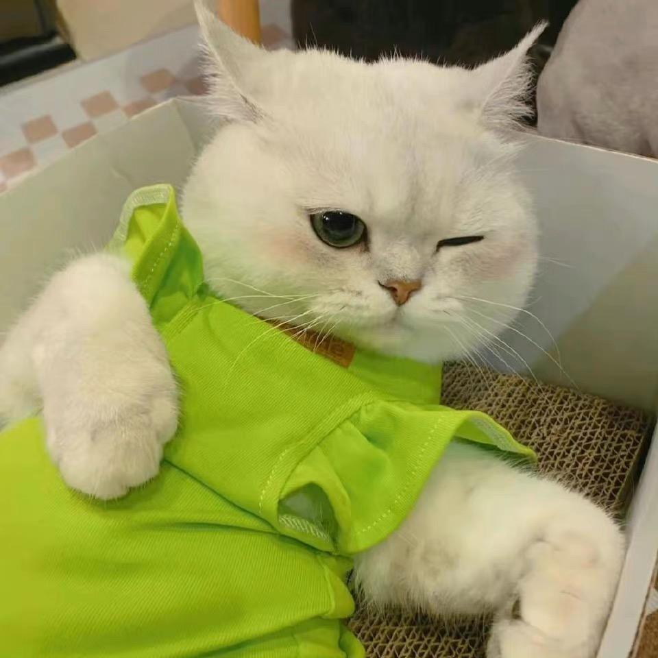 夹心巧克力