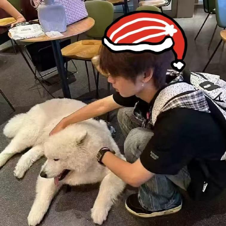 雯雯.