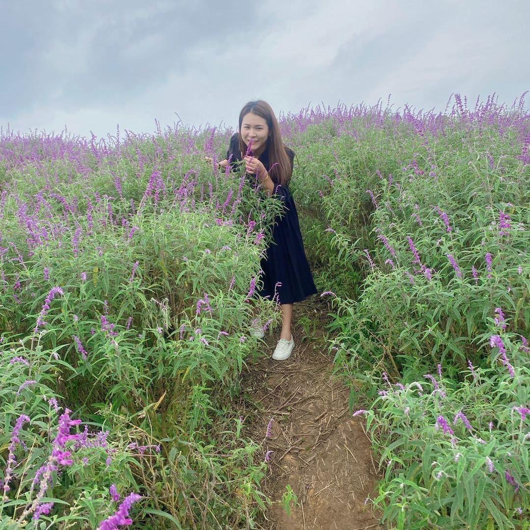 @柠檬🍀咖啡☕