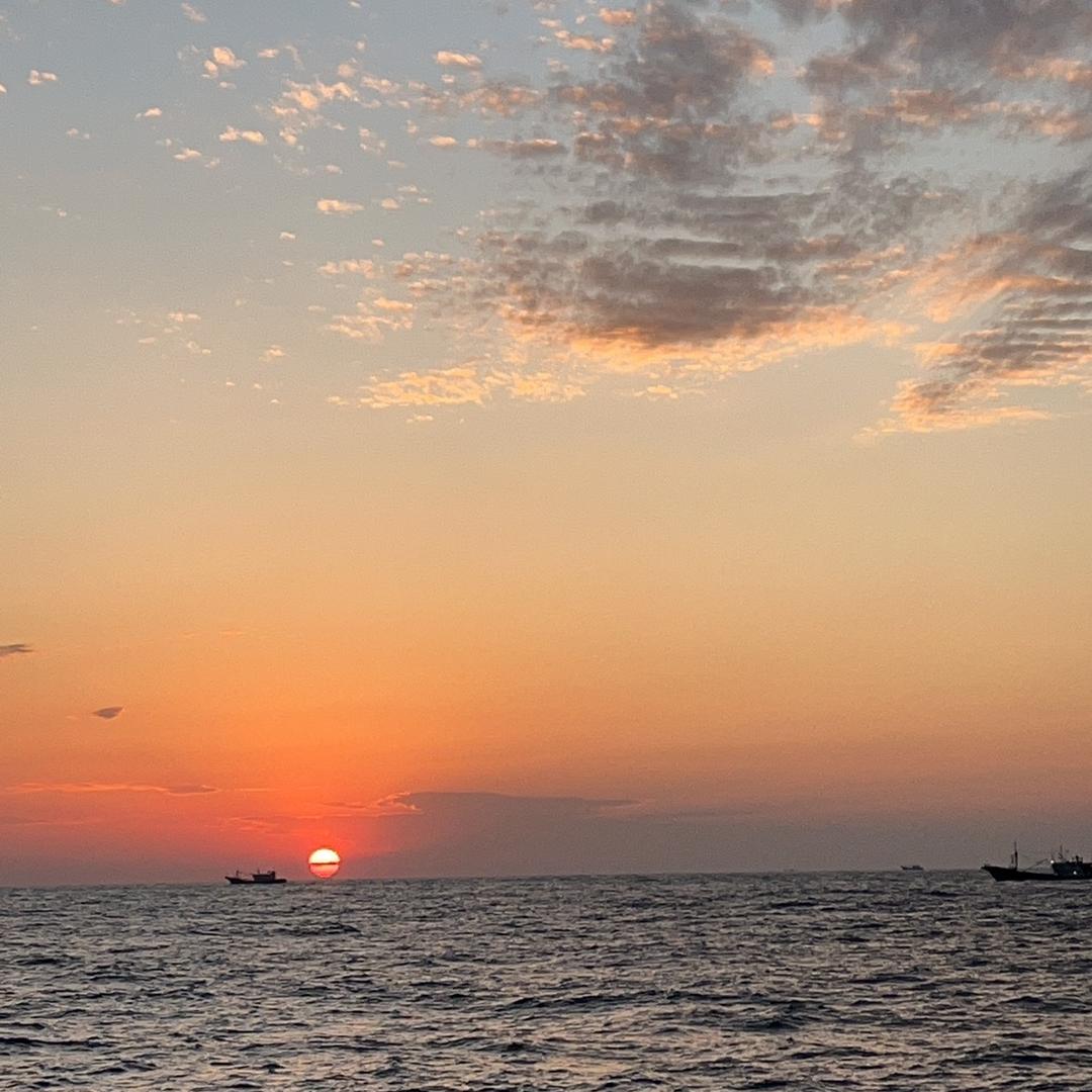 好物海鲜