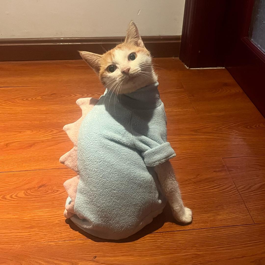 啾啾