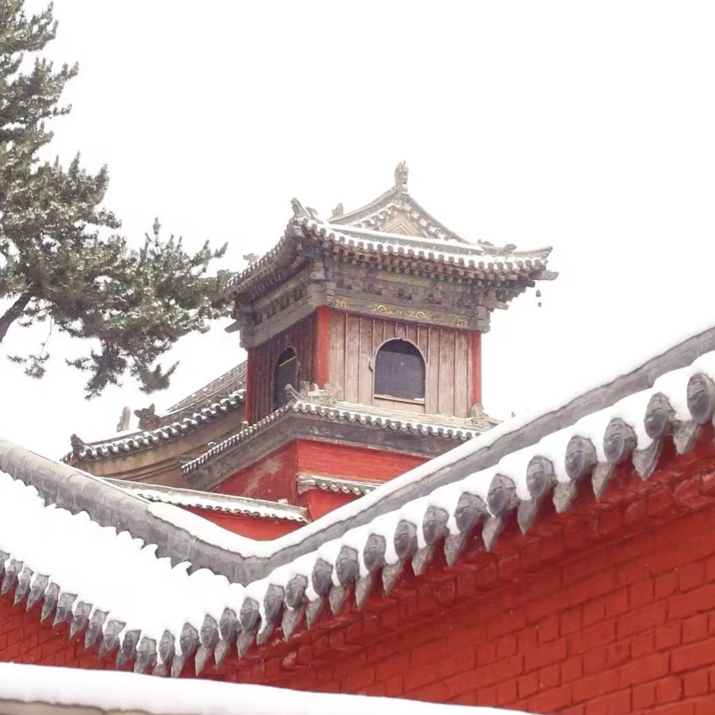 五台山导游贝贝