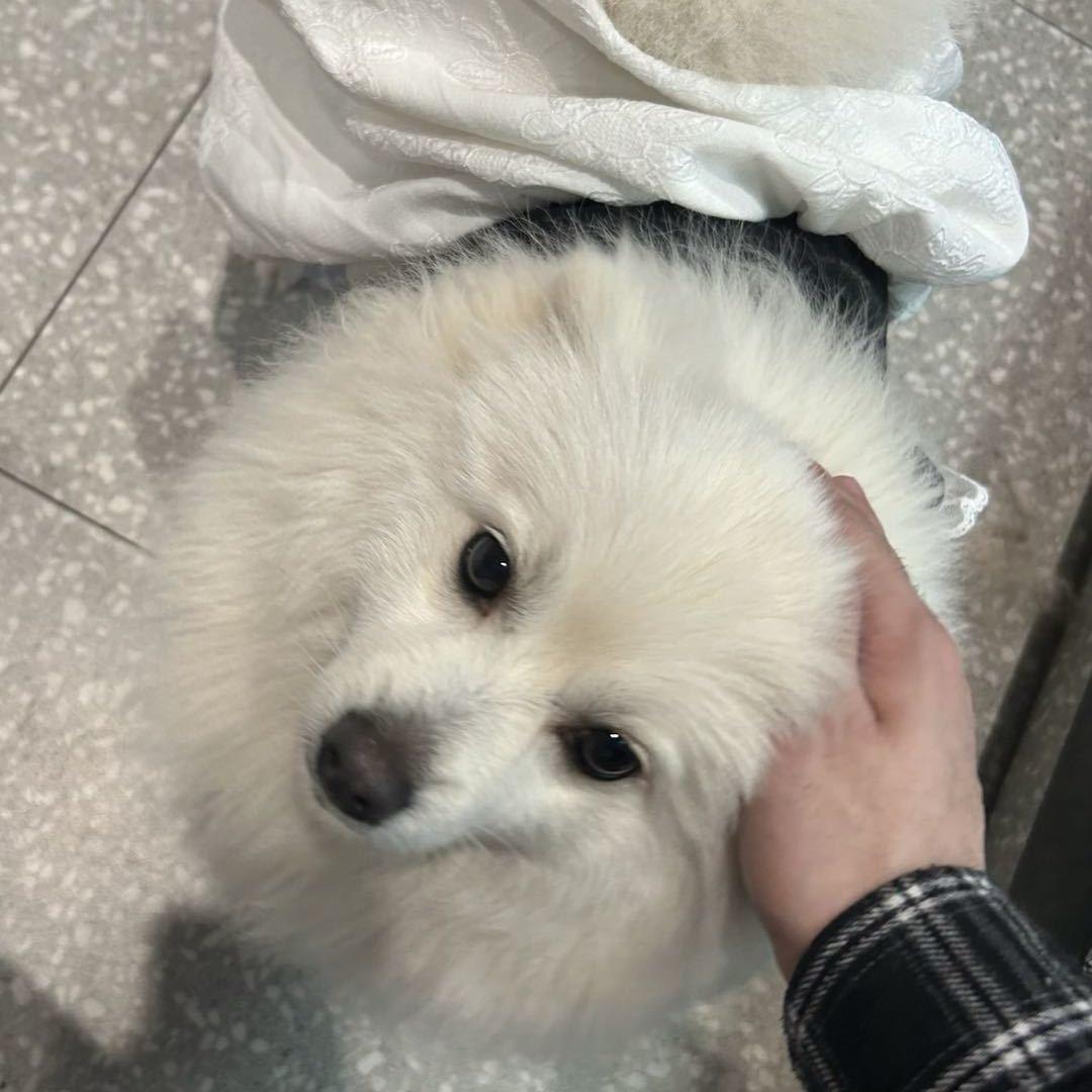 小五是我
