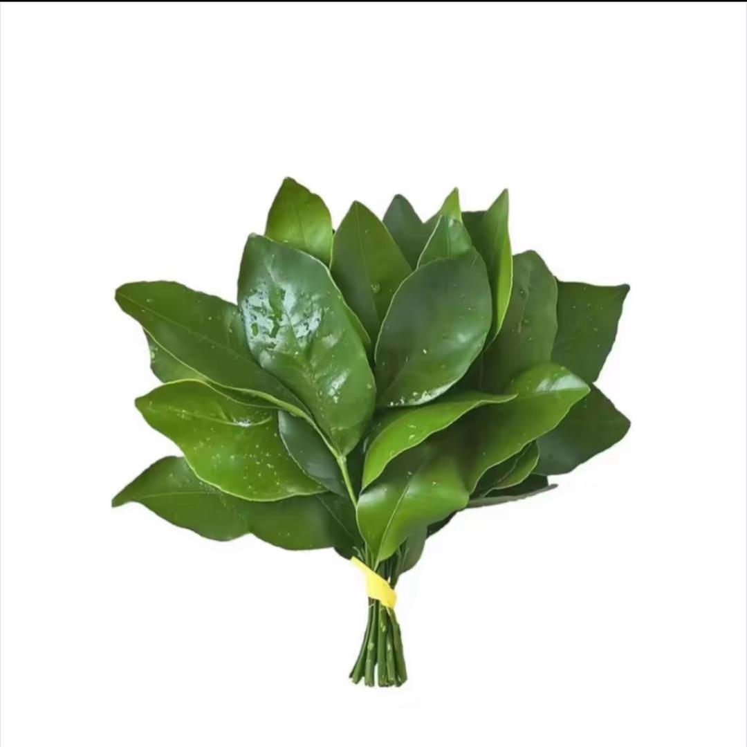 伤心小狗