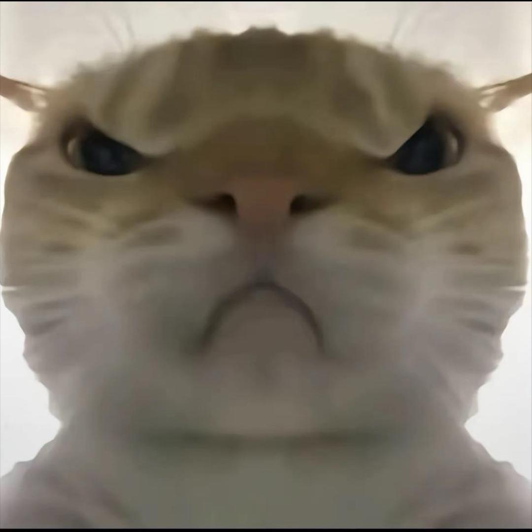 黎辉