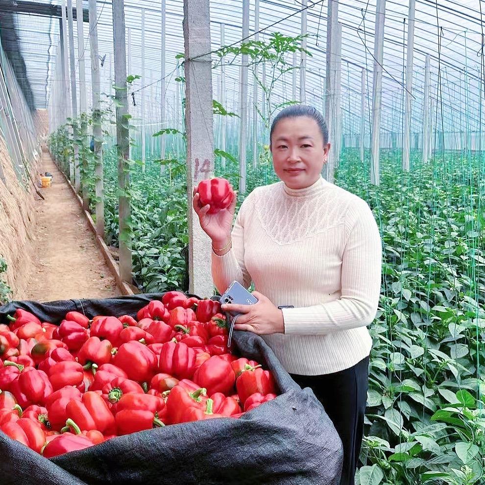 寿光田园玺农资有限公司早