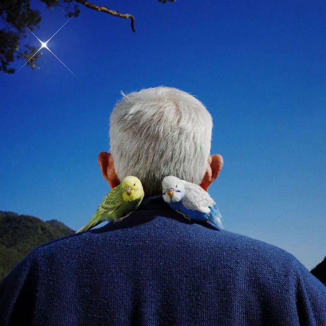 杭州摄影群（小辉）