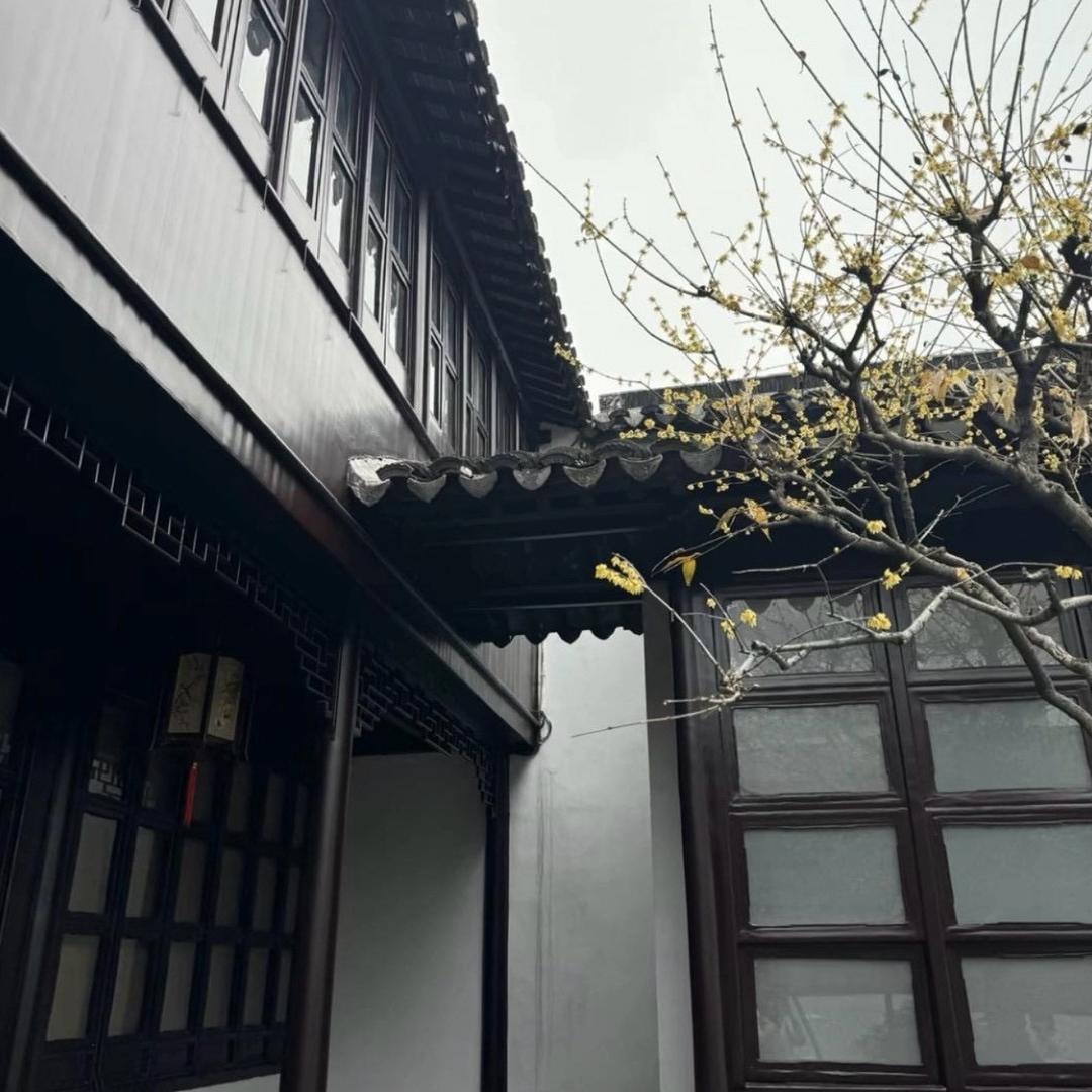 久违