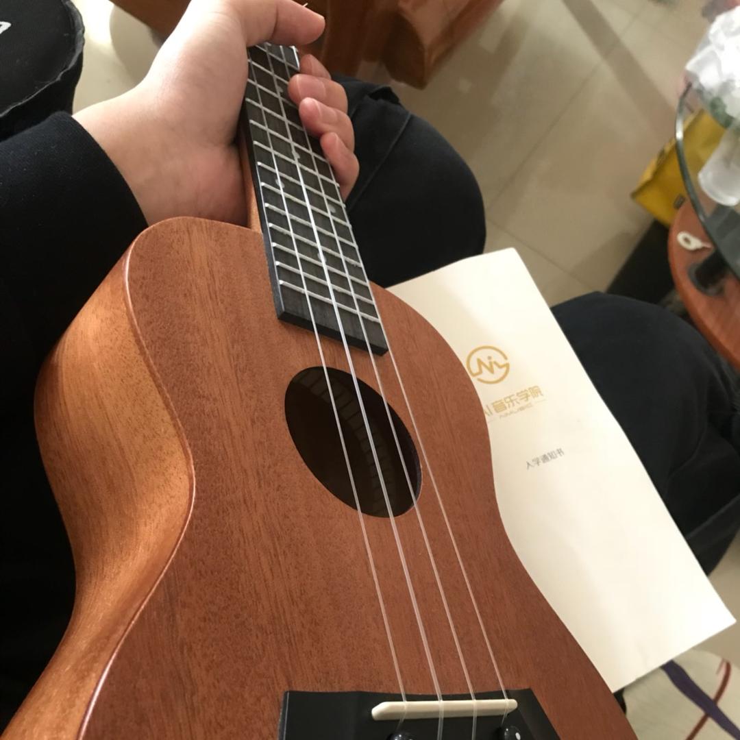 陈阳光