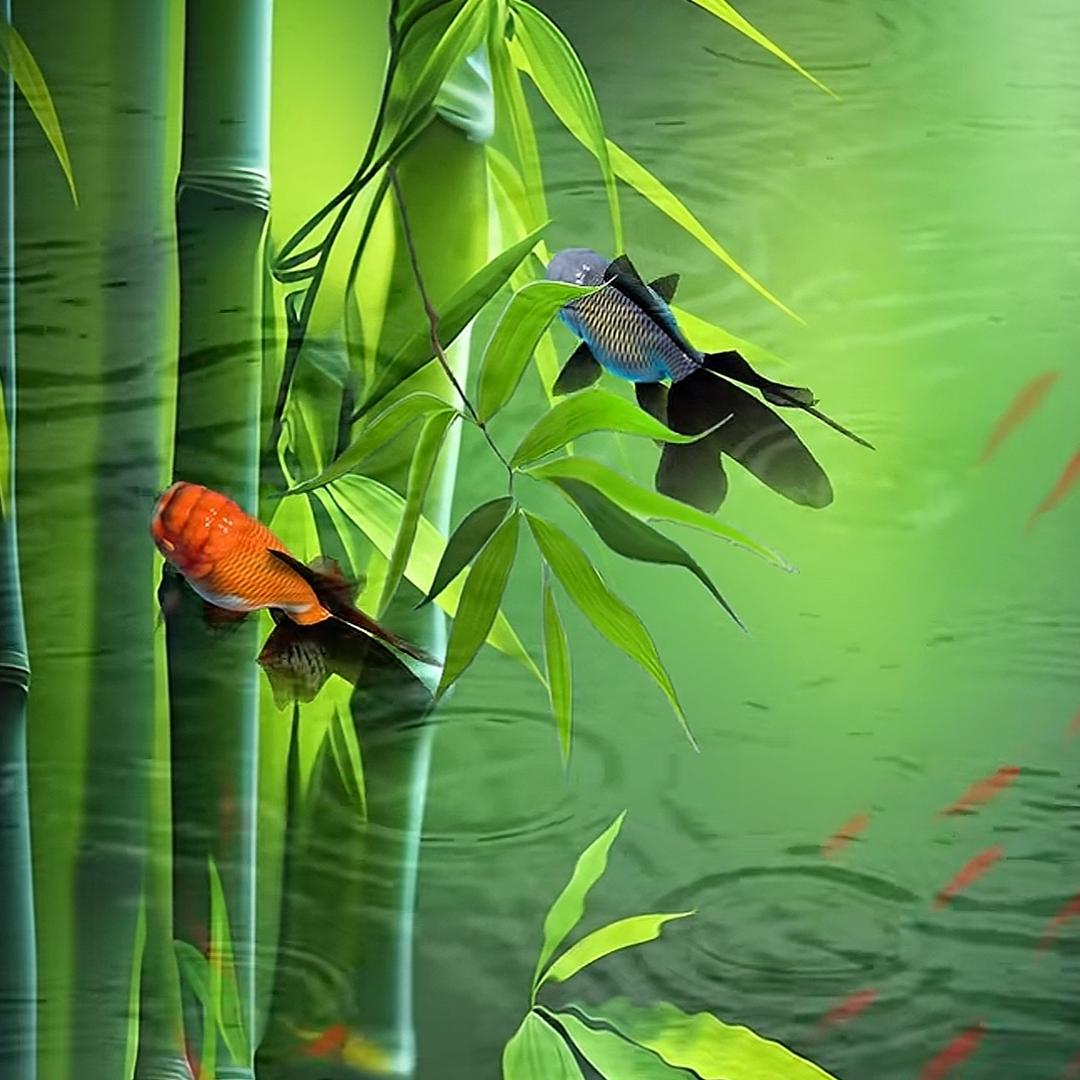 冷漠