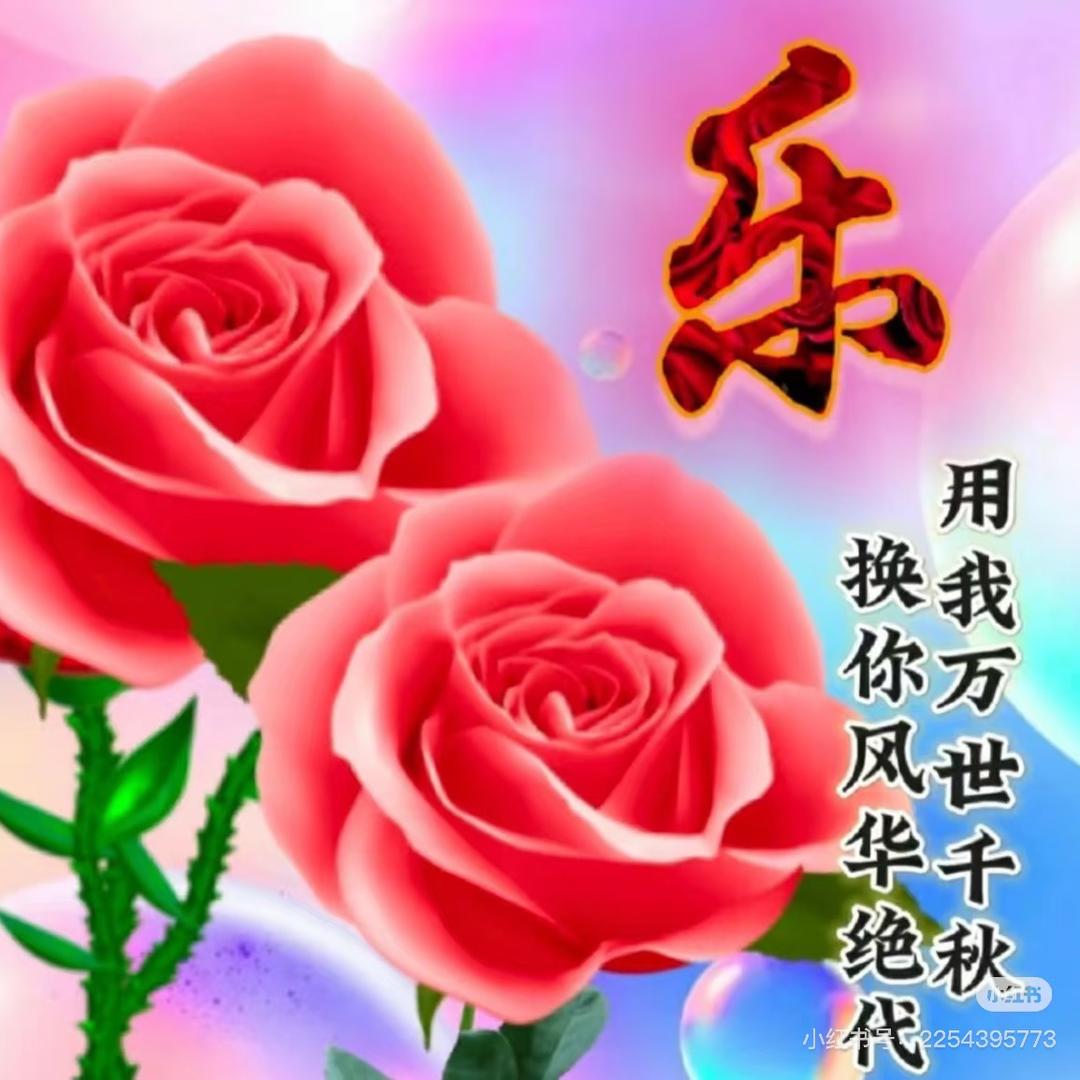玲玲百货优选