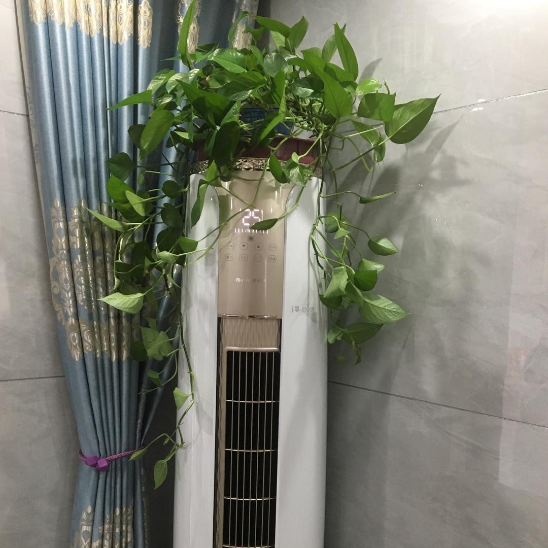☀️谈笑风生💗