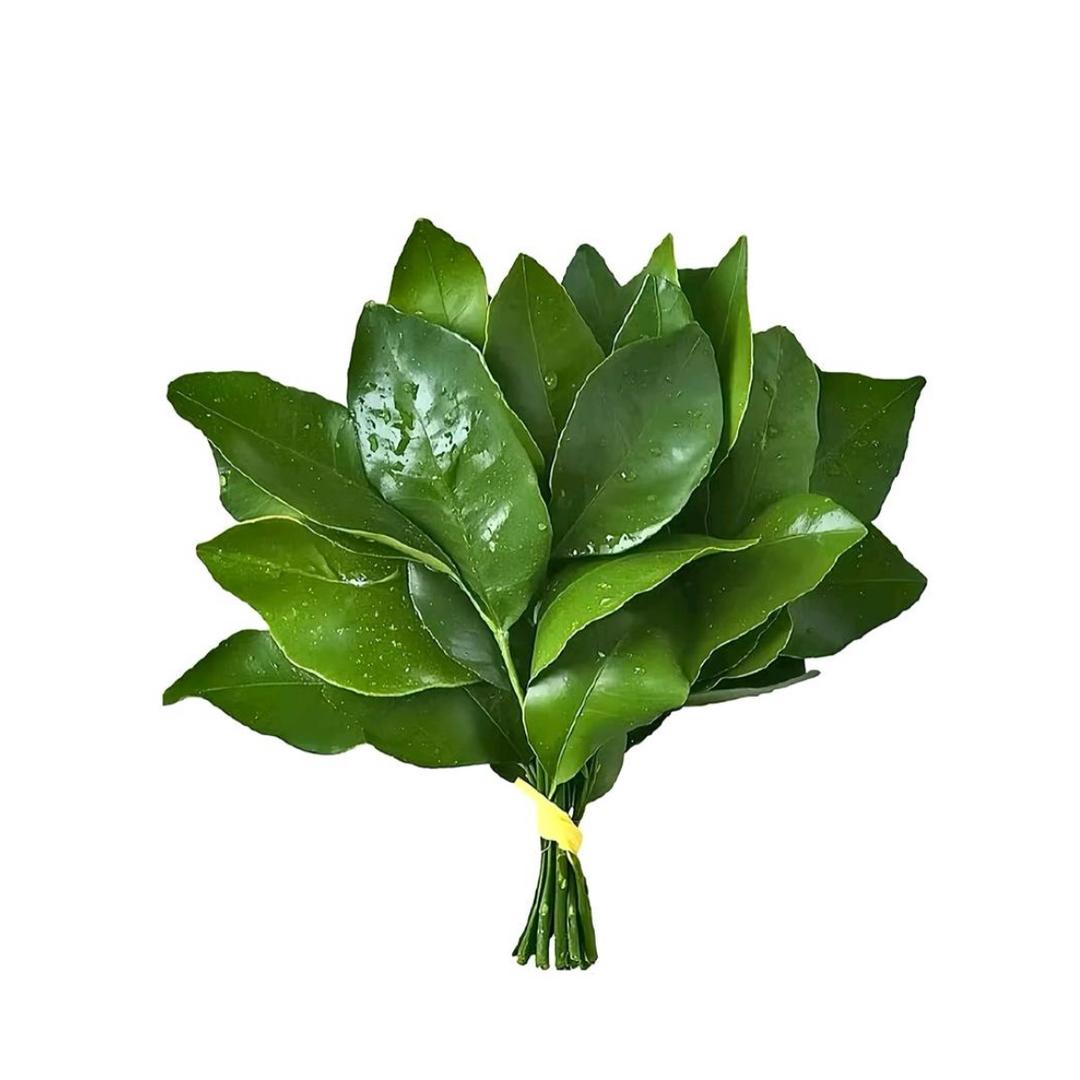 我不是豆沙包