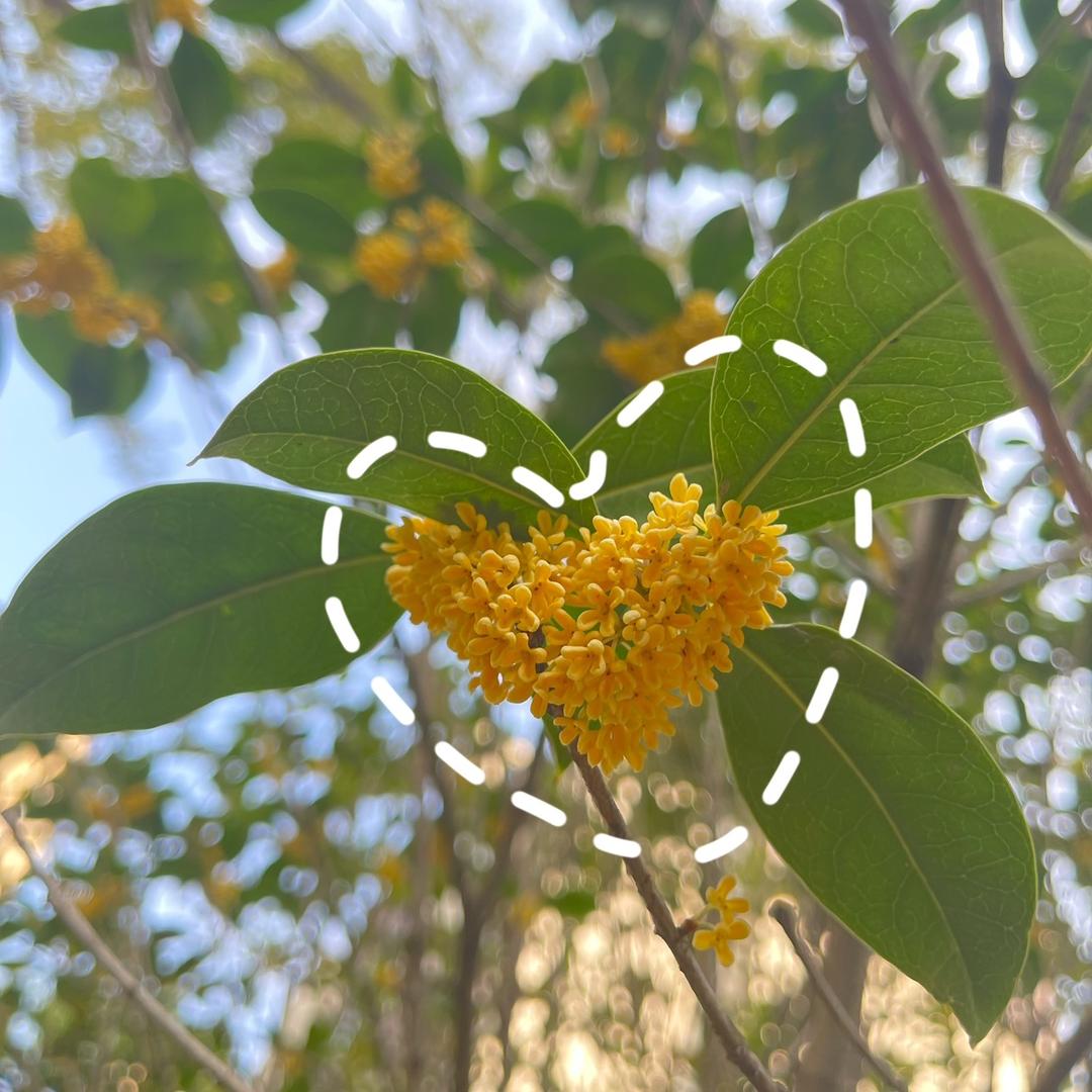 稀里糊涂