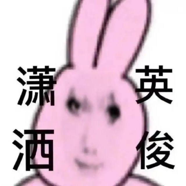 •ᴥ•꧞