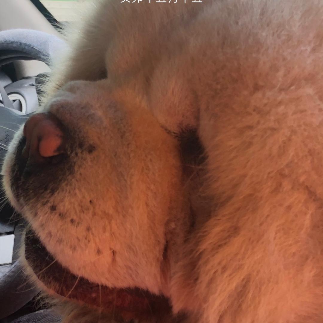 老王已经倒在隔壁